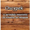 Oscypek